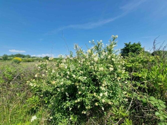 MURVICA - Poljoprivredno zemljište 2182 m2