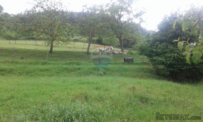 Pazin, starina za kompletnu obnovu na mirnoj lokaciji - 4