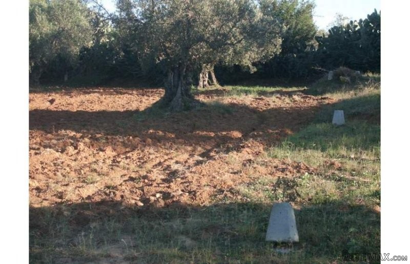 Terrain a Tantana - 2