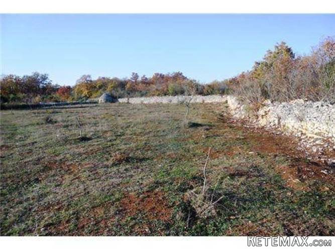 ISTRA,BALE: ZEMLJIŠTE S MASLINAMA I KAŽUNOM 10200 m2 - 3