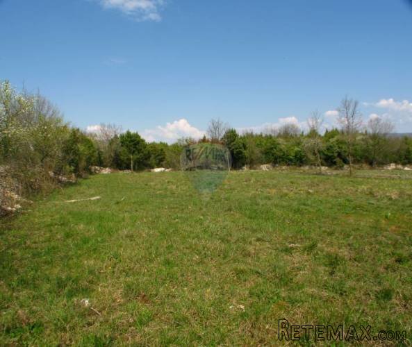 ISTRA, RAKALJ, PREKRASNA GRAĐEVINSKA PARCELA 2042 M2 - 4