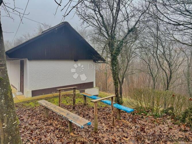 Vikend imanje s vinogradom, šumom i kletima - 10.106m² - 2