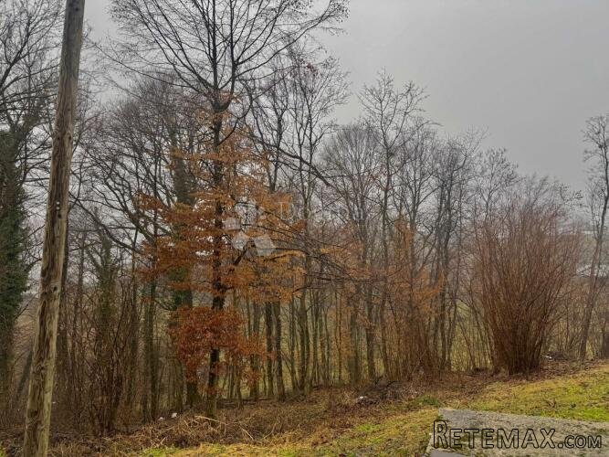 Vikend imanje s vinogradom, šumom i kletima - 10.106m² - 3