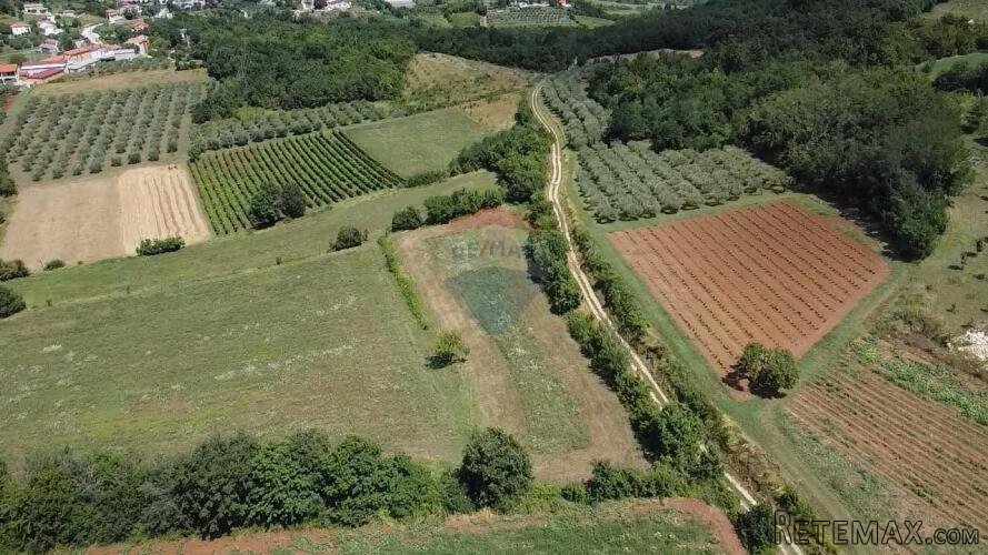Istra, Vižinada, poljoprivredno zemljište 19 280 m2 - 2