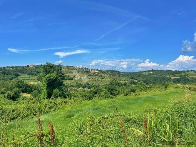 FENOMENALAN POTENCIJAL ZA INVESTICIJU ORGANIZACIJE VJENČANJA - 3
