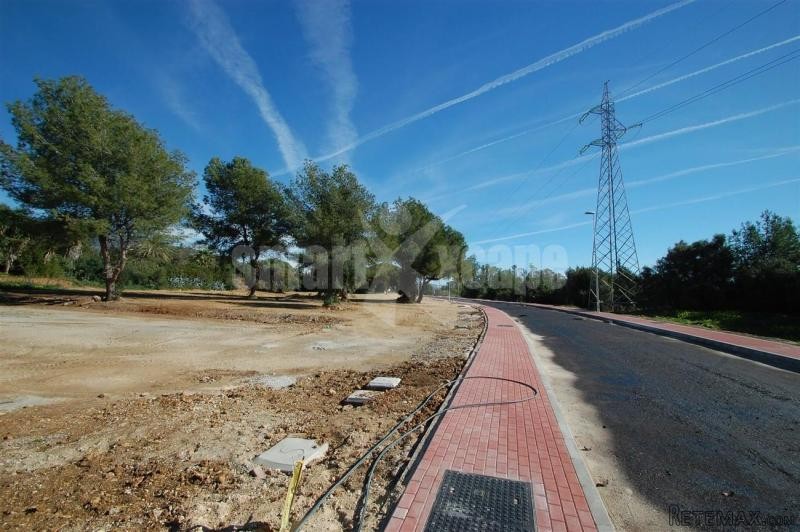Plot/land For Sale In Nagueles..