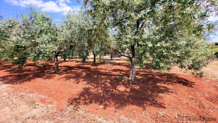 Istra, Novigrad, građevinsko zemljište - 5