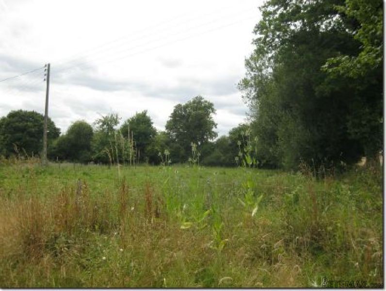 Nice Rural House and Garden - 2