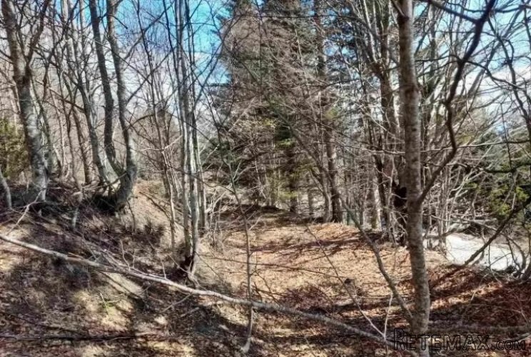 Prodaja parcela na Goliji (gradjevinsko zemljiste sa dozvoljenom gra - 11