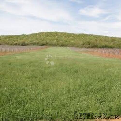 Flengi, Vrsar - poljoprivredno zemljište 8440m2