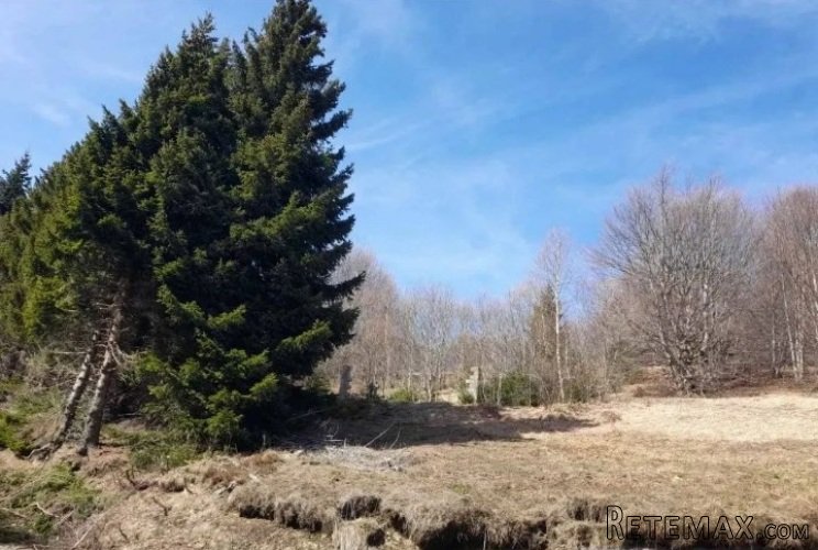 Prodaja parcela na Goliji (gradjevinsko zemljiste sa dozvoljenom gra - 12
