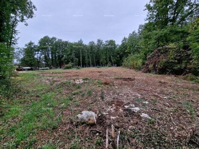 Prodaje se građevinsko zemljište od 1236 m², s građevinskom.. - 3