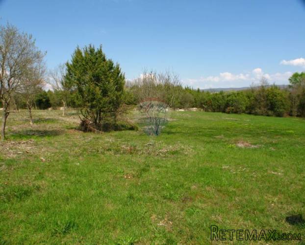 ISTRA, RAKALJ, PREKRASNA GRAĐEVINSKA PARCELA 2042 M2 - 3