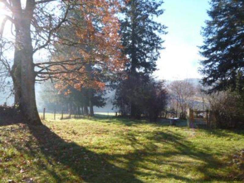 Superb Country House with More Potential - 2