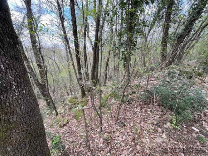 Matulji -10471m2,teren za više obiteljskih kuća - 2