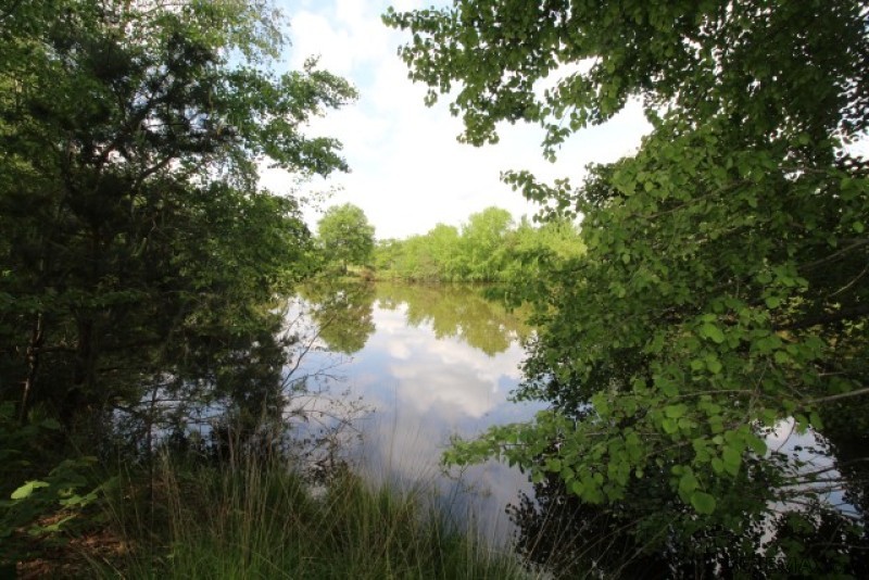 Lake (Approx 3000m2) On Large Plot - 2
