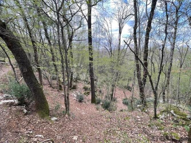 Matulji -10471m2,teren za više obiteljskih kuća - 3