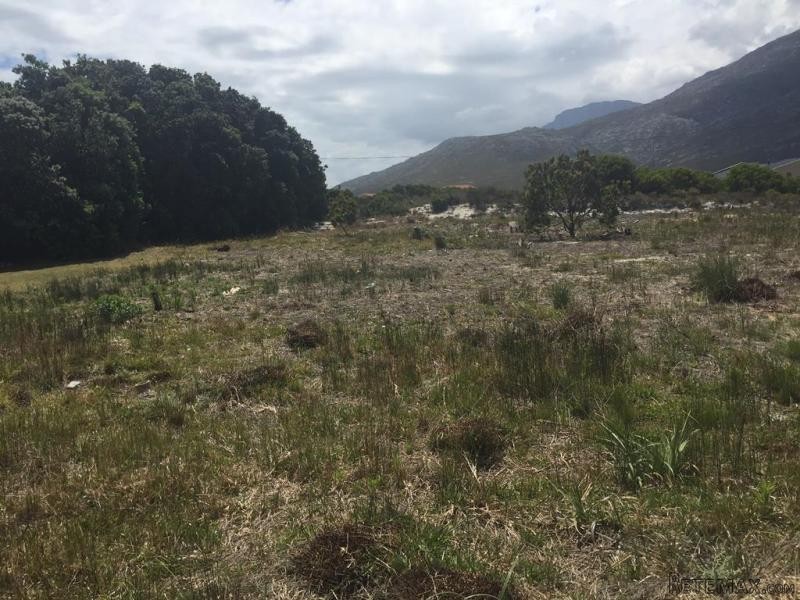 Bettys Bay Vacant Land, Bettys Bay - 2