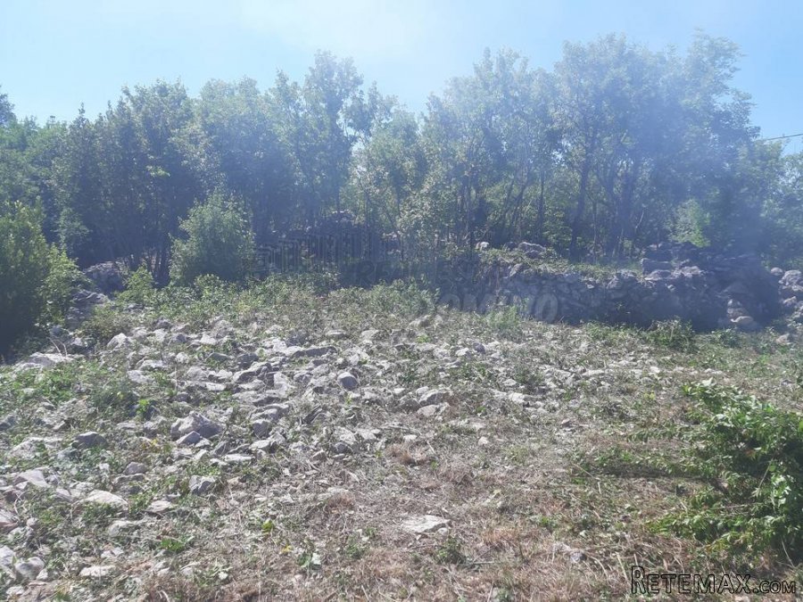Kuća s potencijalom za kompletnu renovaciju - 3