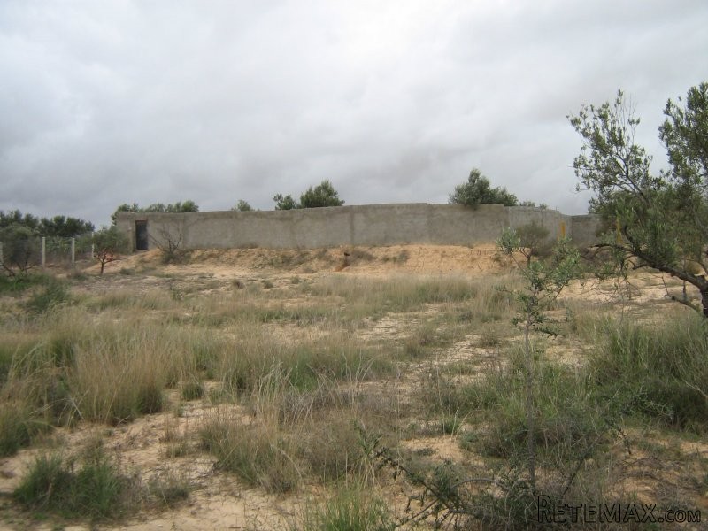 Terrain de 13000m2 - 2