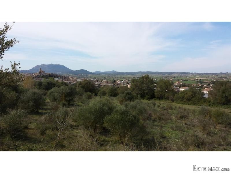Land New Construction For Sale In..