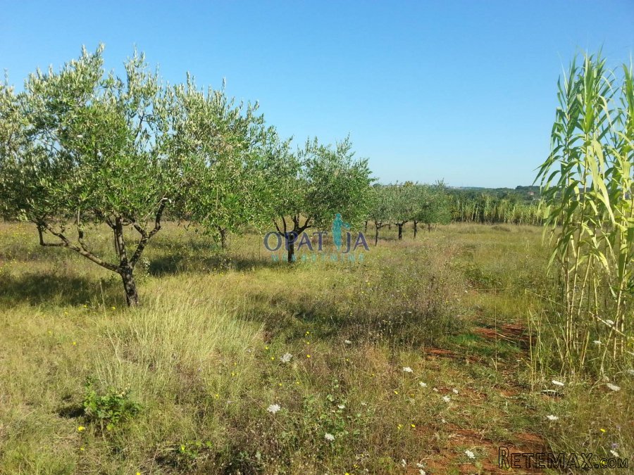 Poreč Špadići građevinsko zemljište 1383 m2 - 2