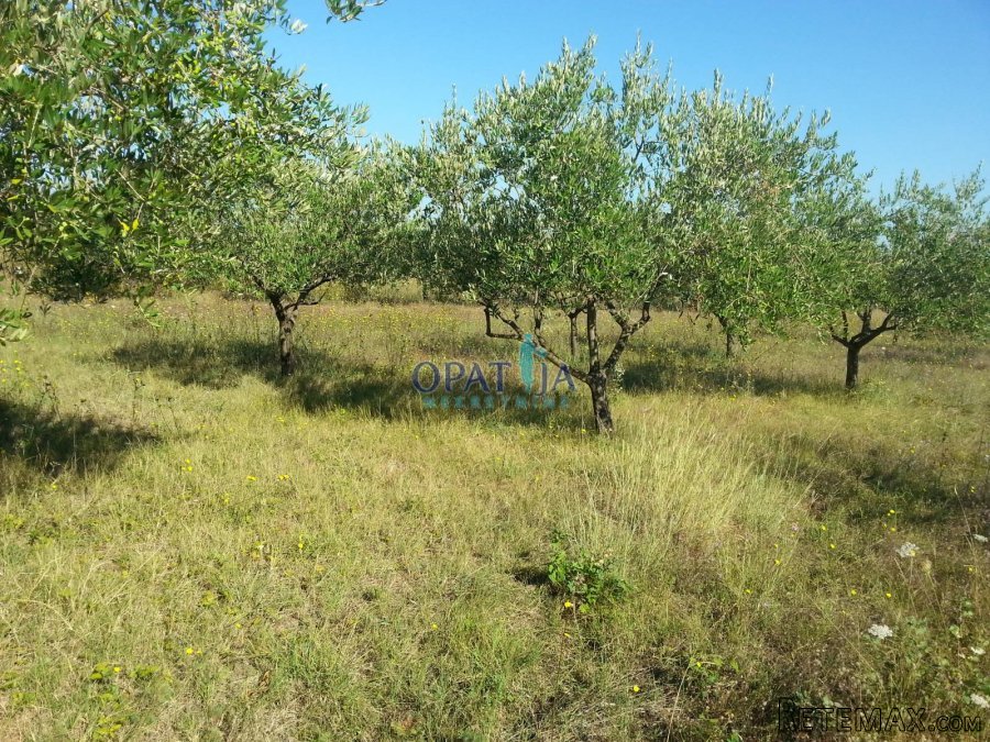 Poreč Špadići građevinsko zemljište 1383 m2 - 3