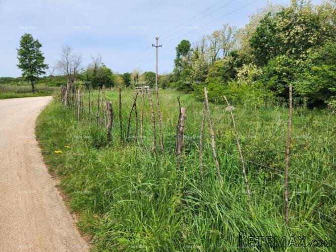 POREČ - Prodaje se građevinsko zemljište, 12000m2