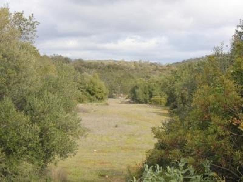 Big Plot For Agriculture Ref.006