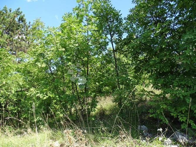 Cernik - teren za obiteljsku kuću - 2