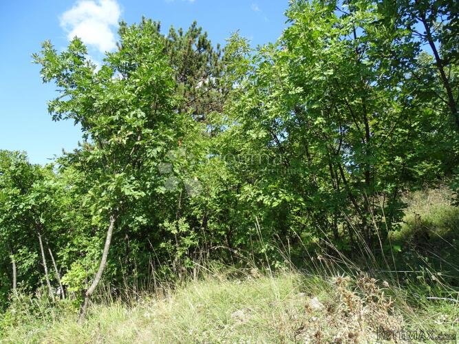 Cernik - teren za obiteljsku kuću - 3