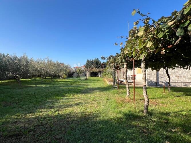 Građevinsko zemljište s kućom, centar - 3