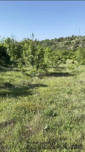 KUĆA NA BRDU S 6 HA ZEMLJIŠTA - 3
