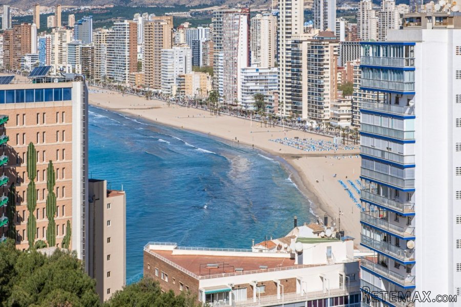 Nice flat in Rincon de Loix area.It consists of a double..