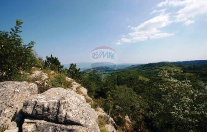 POSEBNA VILA S BAZENOM U GRAČIŠĆU - 2