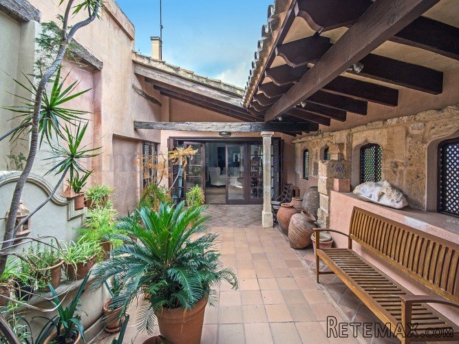 South oriented spectacular penthouse with character in the..