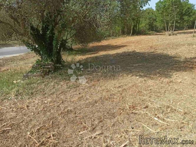 Građevinsko Zemljište 1200m2 - Šegotići - 2