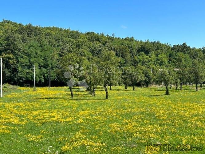 Građevinsko zemljište u oazi prirode selo Mušaluk SNIŽENO DO - 2
