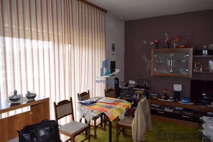 Kuća od 265m2+ dva poslovna prostora - 2