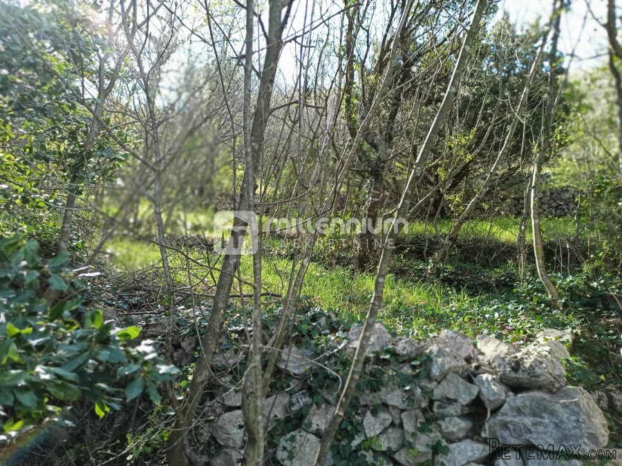 Jablanac, građevinsko zemljište 100m od mora - 4