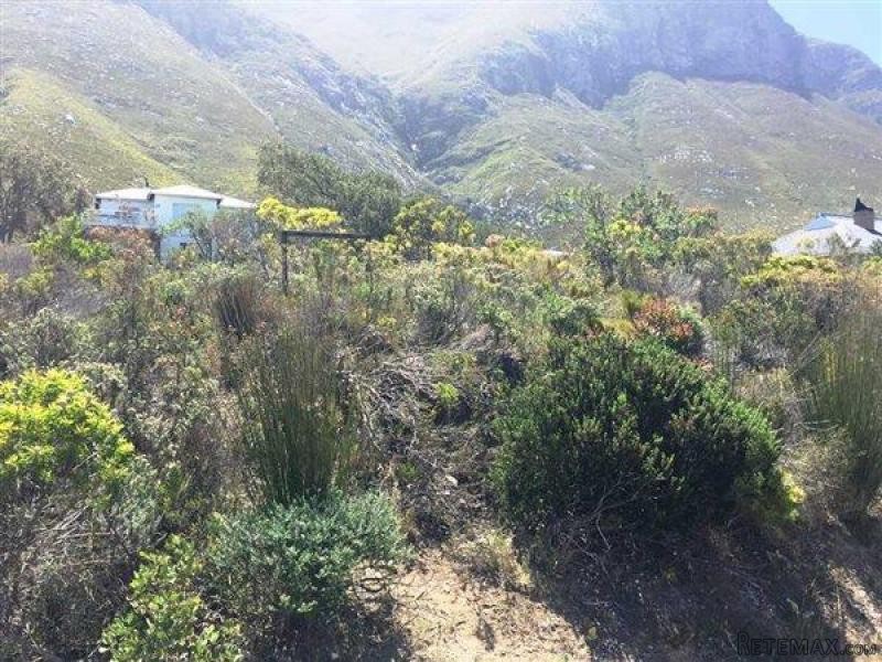 Bettys Bay Vacant Land, Bettys Bay - 2