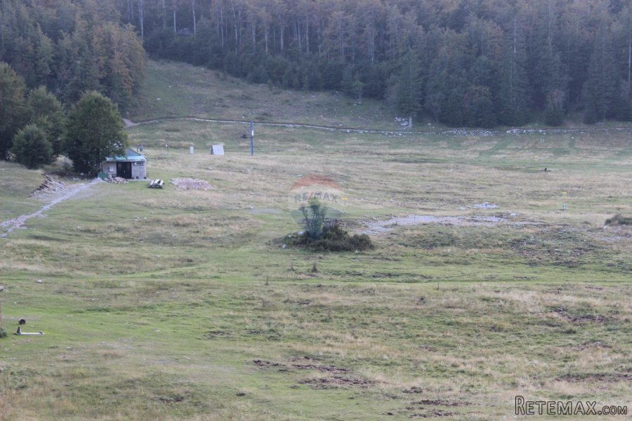 Platak, ugostiteljski objekt-brvnara - 3