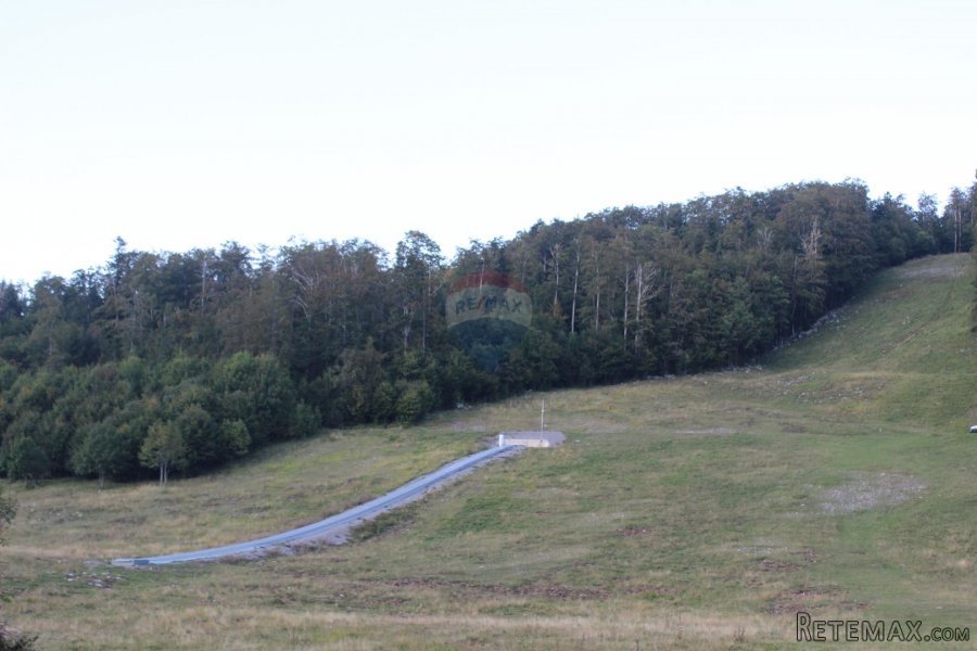 Platak, ugostiteljski objekt-brvnara - 4