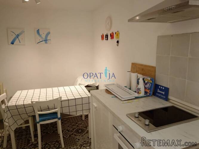 Obnovljena stara istarska kuća s tri apartmana! - 7