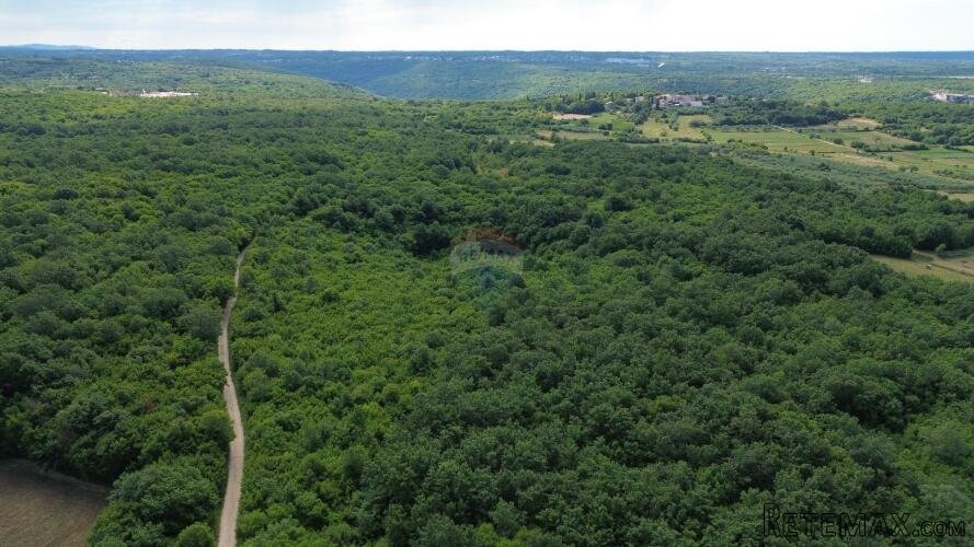 ISTRA, LIMSKI KANAL - Poljoprivredno zemljište 1000 m2