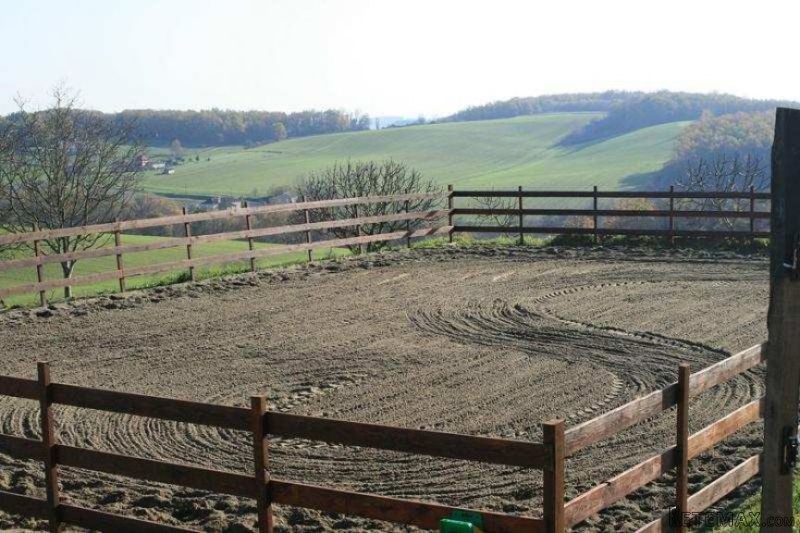 Equestrian House, Outbuildings, Land - 2