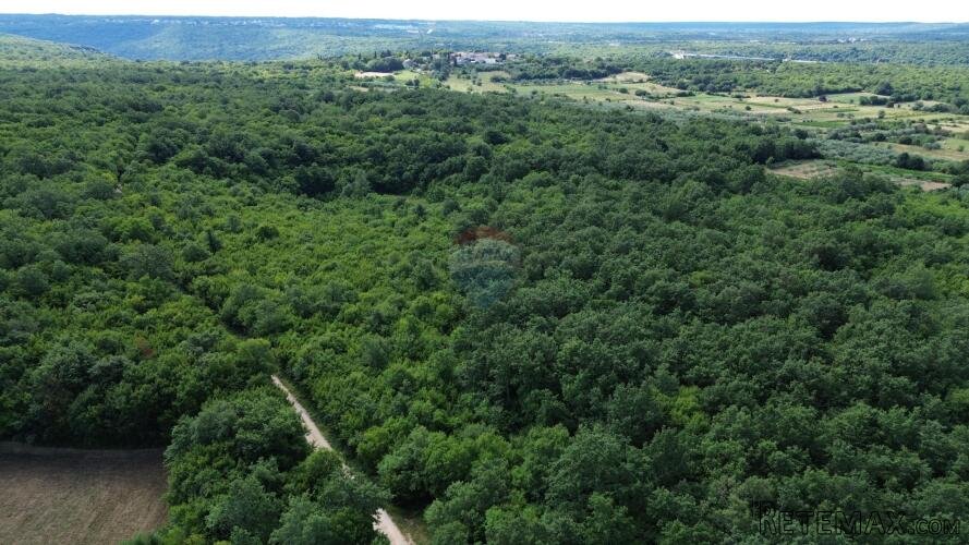 ISTRA, LIMSKI KANAL - Parcelirano poljoprivredno zemljište 1