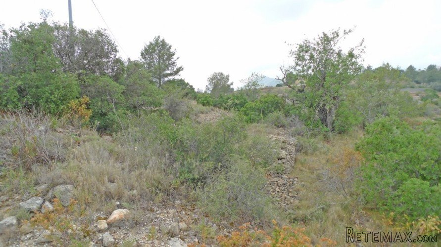 A beautiful flat plot with 360 degree views over the Jalon.. - 3