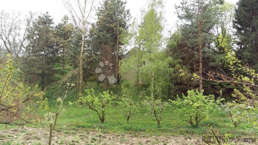 Ekološko imanje s ogromnim potencijalom za različite izvore - 3
