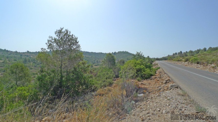A beautiful flat plot with 360 degree views over the Jalon.. - 5